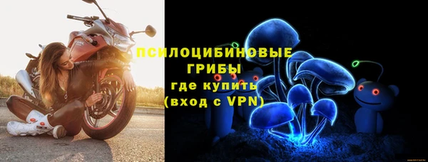 хмурый Магас