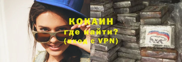 хмурый Магас