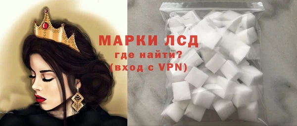 хмурый Магас