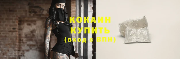 хмурый Магас