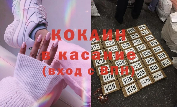 хмурый Магас