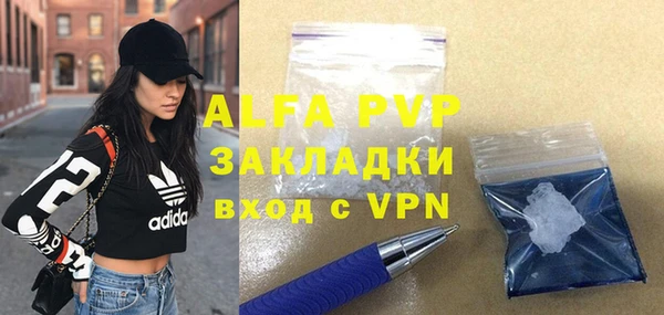 хмурый Магас
