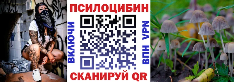 площадка какой сайт  Кочубеевское  Псилоцибиновые грибы Psilocybine cubensis 